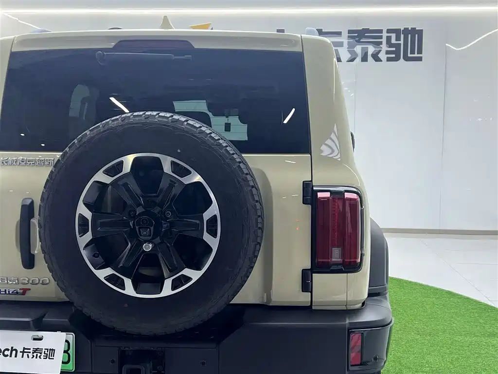 TANK TANK 300 NEW ENERGY