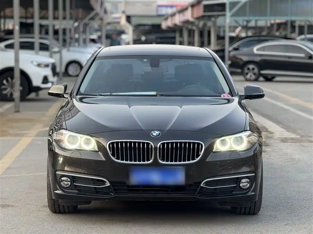 BMW 5 Series 2017 525Li Luxury Design Package фото 24