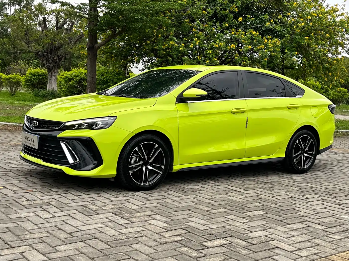 GEELY AUTOMOBILE BINRUI