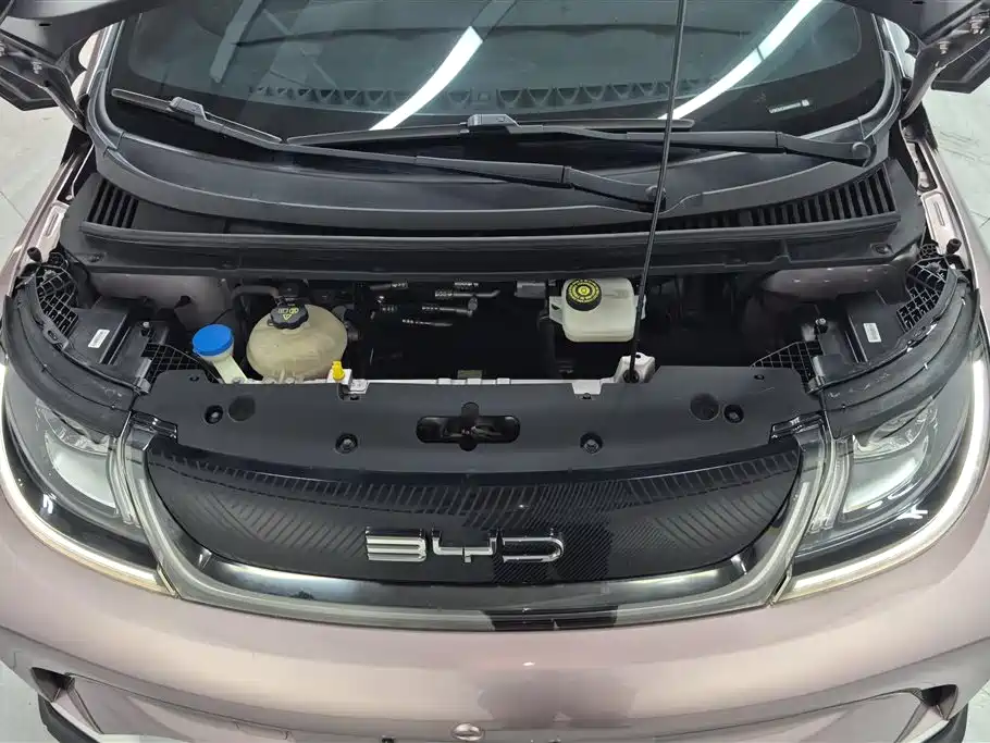 BYD Dolphin 2021 401km Knight Edition фото 10