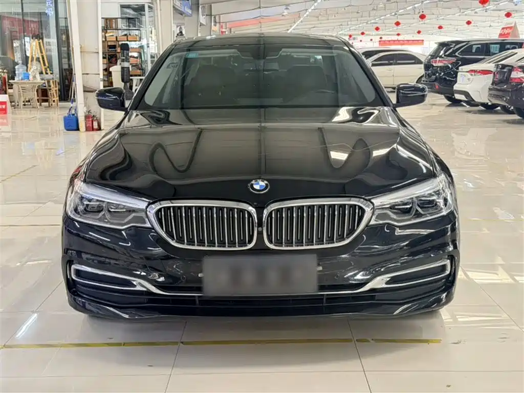 BMW 5 Series 2019 Facelift 530Li Premium Luxury Package фото 11