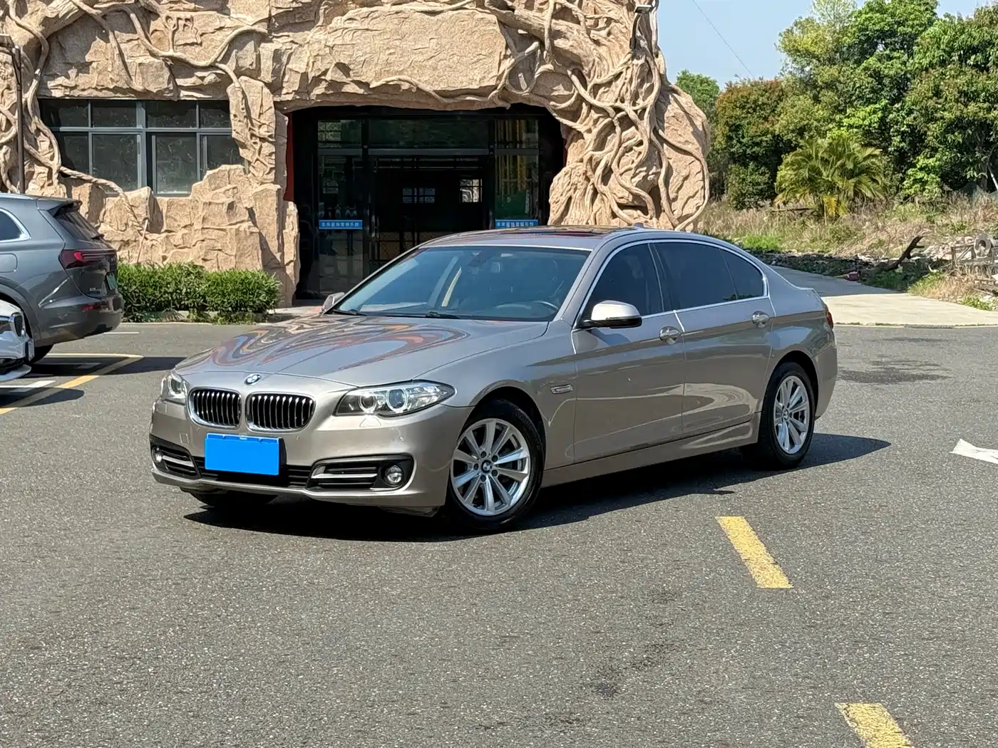 BMW 5 Series 2014 520Li Elegance фото 6