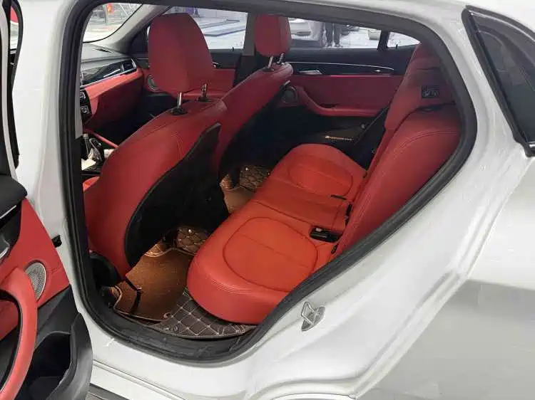 BMW X2 2021 sDrive25i Leading M Sport Package фото 3