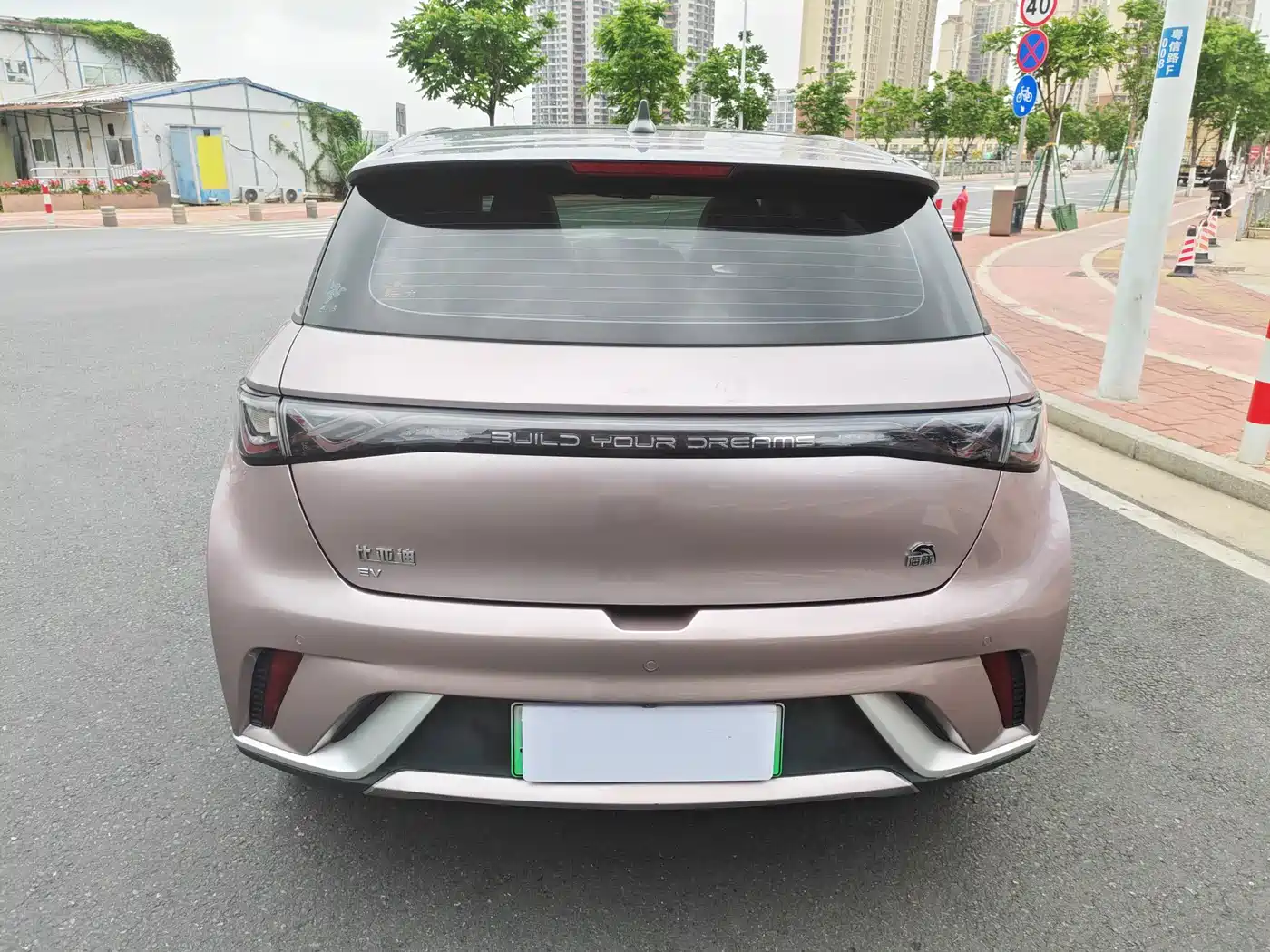 BYD DOLPHIN