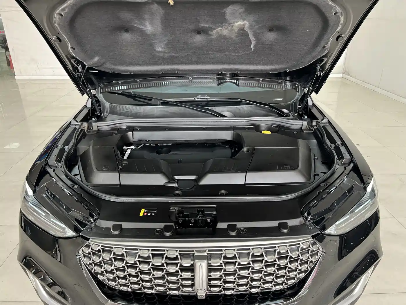 WEI PAI WEI BRAND VV6