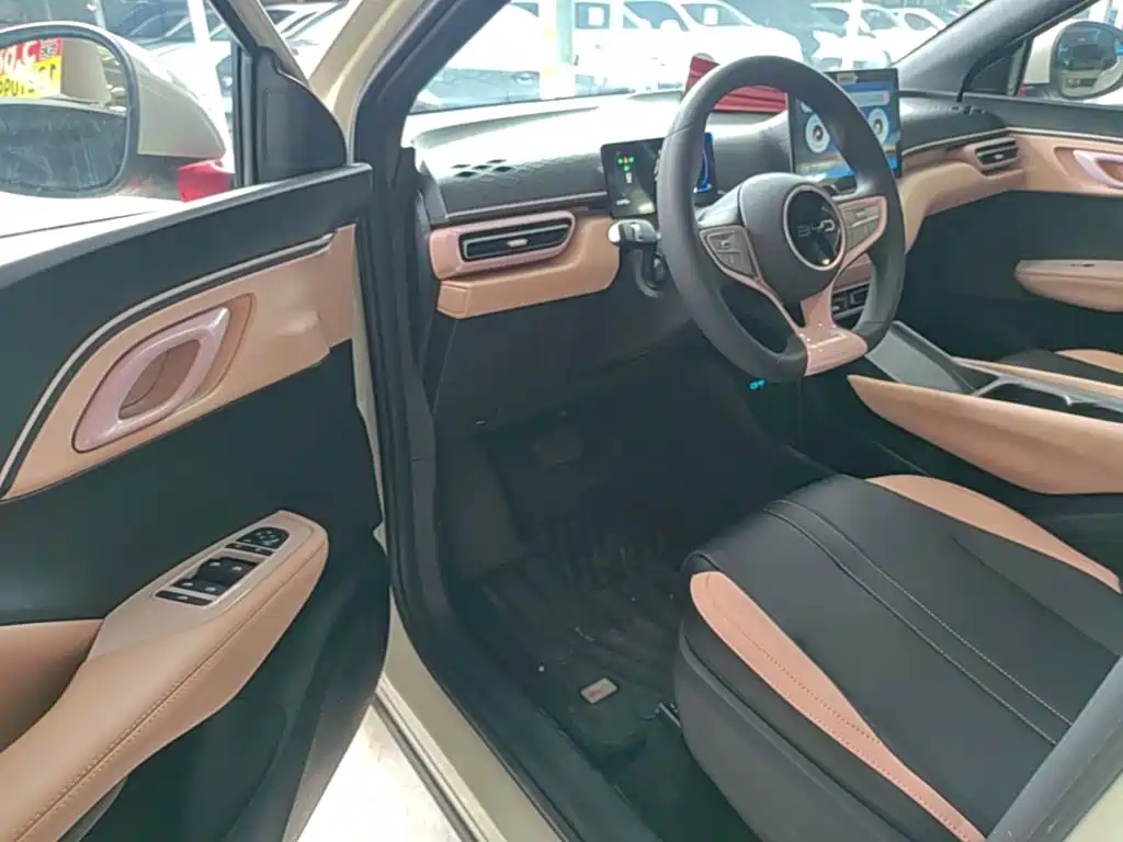BYD Seagull 2026 2025 Smart Drive Edition 305km Vitality Version