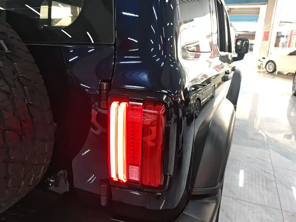 Tank 300 2023 Off-Road Edition 2.0T Conqueror фото 24