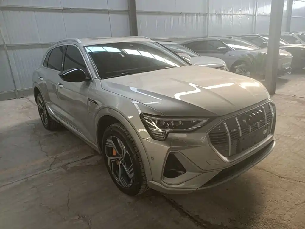Audi e-tron 2024 2021 50 quattro Exclusive Selection