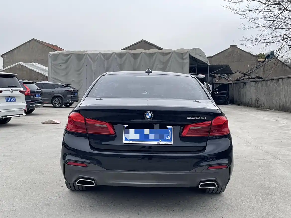 BMW 5 Series 2020 530Li Leading M Sport Package фото 12