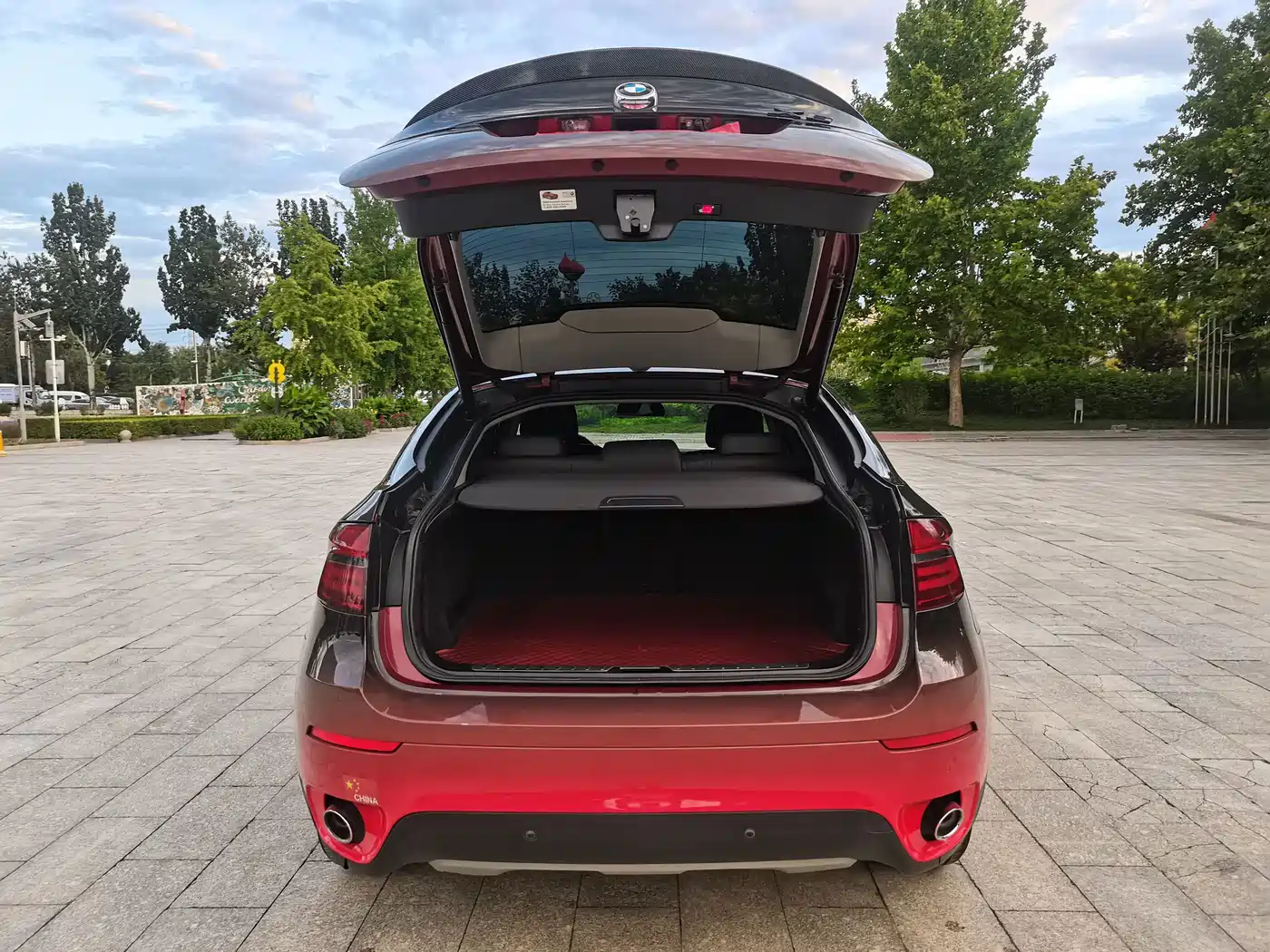 Photo 12 - BMW X6