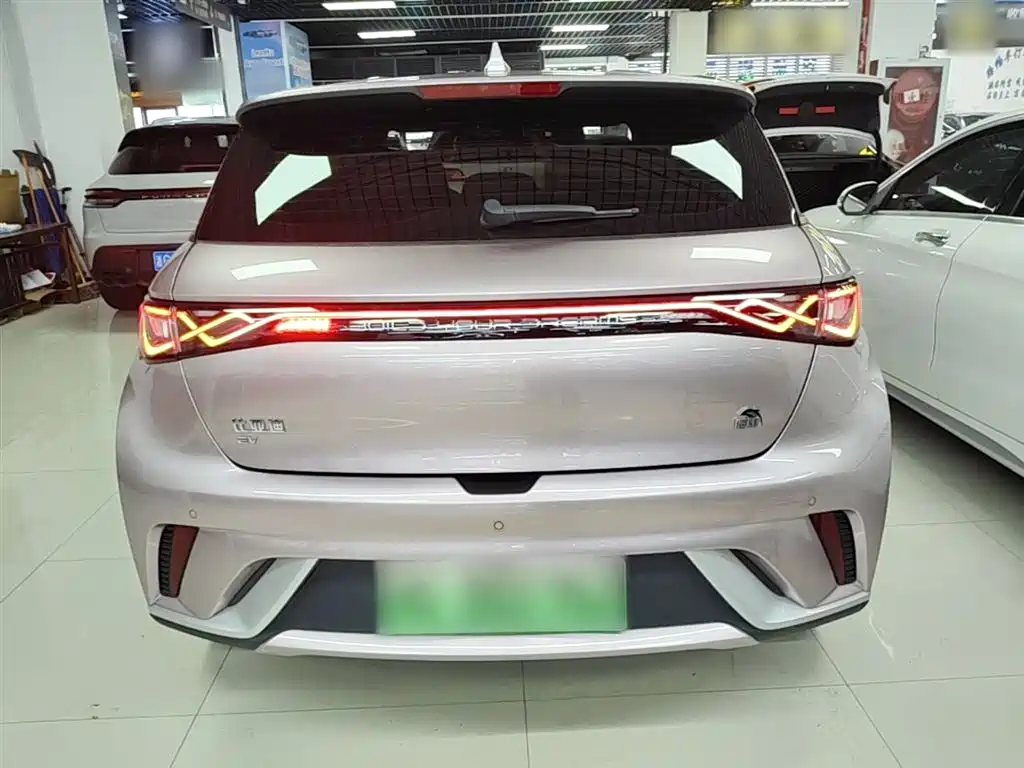 BYD Dolphin 2023 420km Freedom Edition фото 4