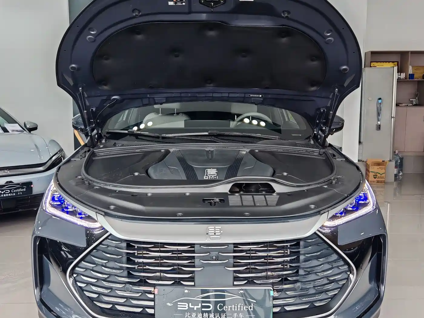 BYD Tang New Energy 2024 DM-i Honor Edition 112KM Premium фото 3