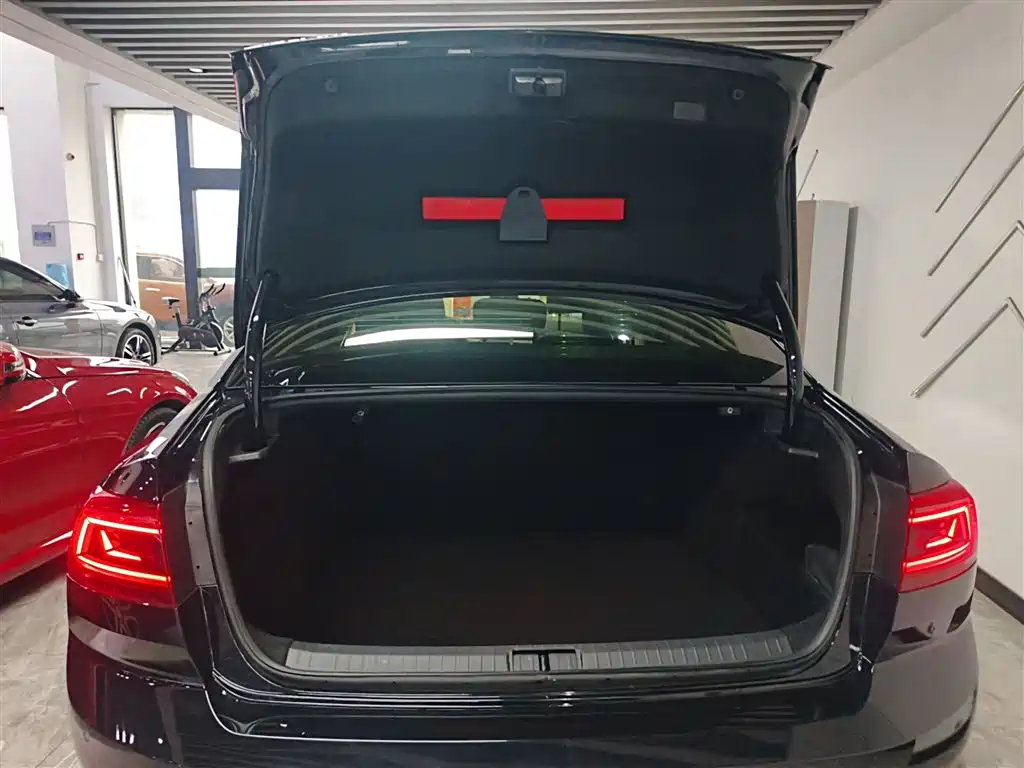 Volkswagen Magotan 2020 330TSI DSG Leading фото 19