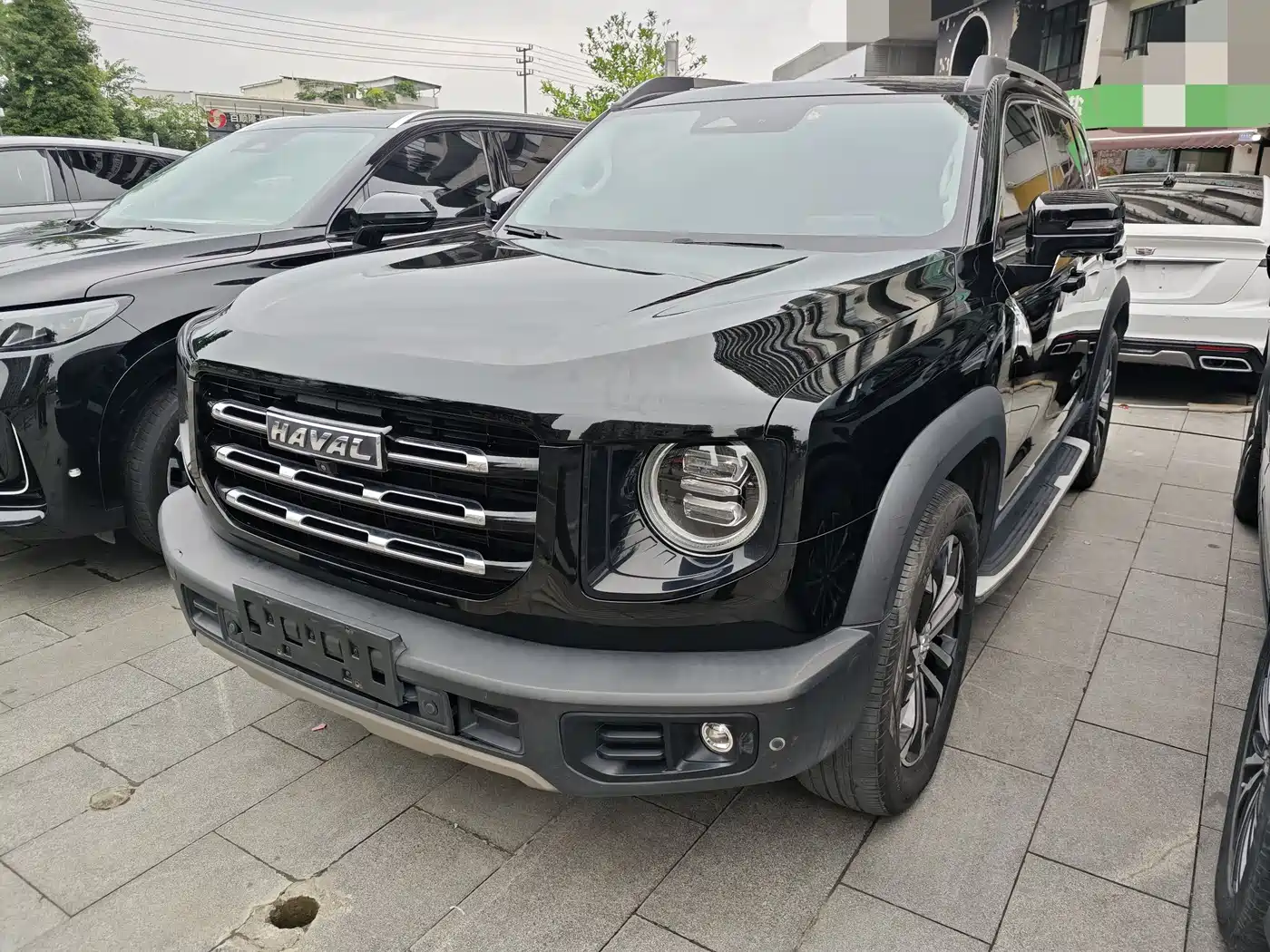 Haval Big Dog 2021 1.5T DCT 2WD Border Collie - Wangcai Edition