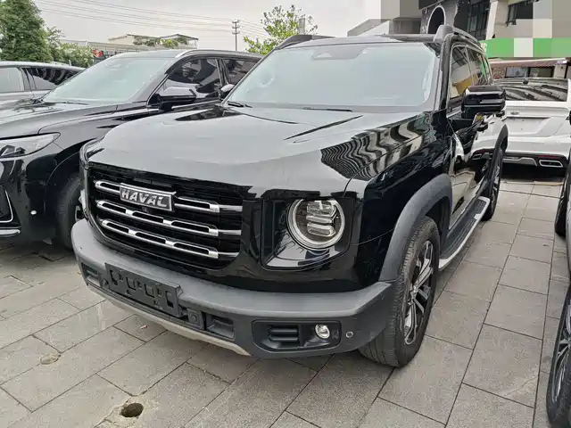 Haval Big Dog 2021 1.5T DCT 2WD Border Collie - Wangcai Edition