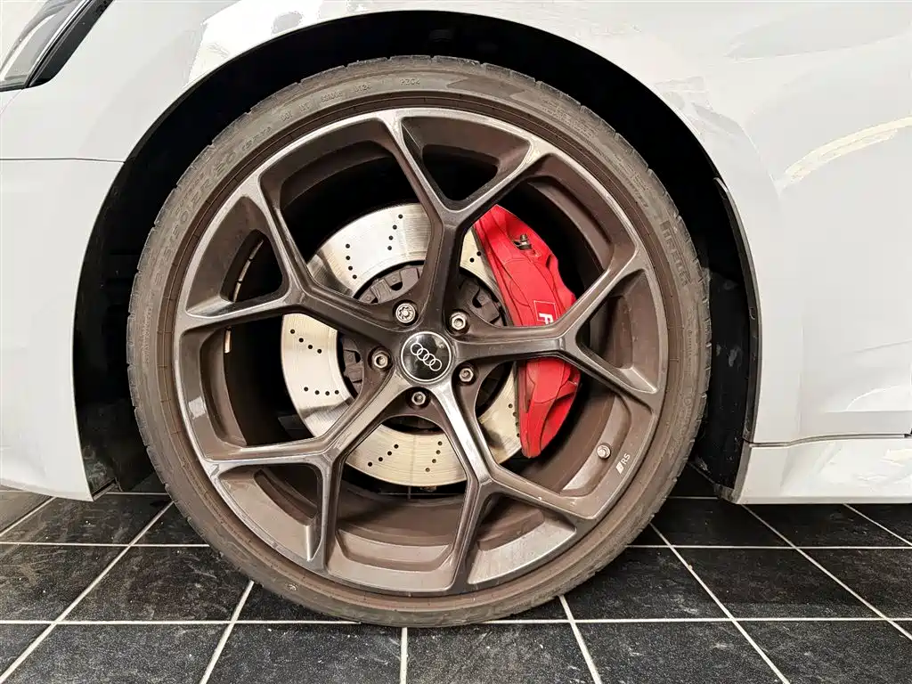 Audi RS 5 2024 RS 5 2.9T Sportback Ultimate Edition фото 15