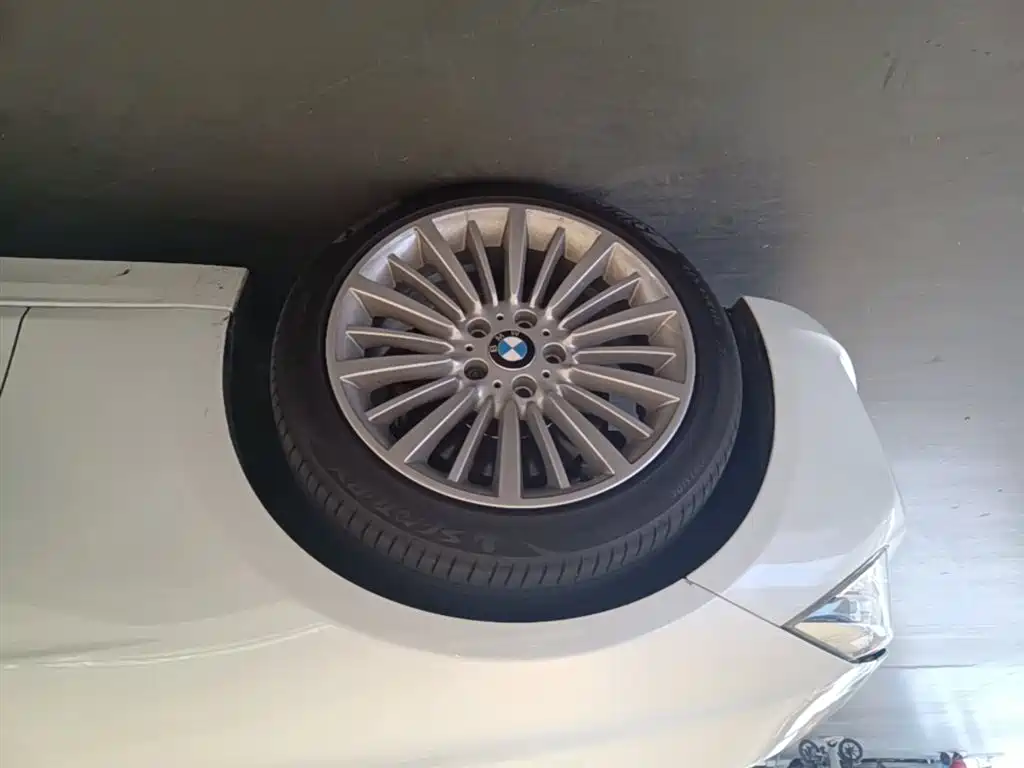 BMW 3 Series 2018 320Li Fashion Style фото 23