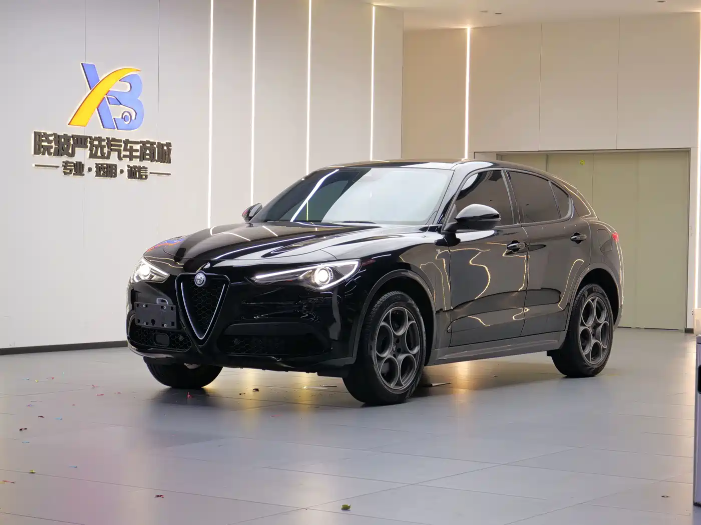 Alfa Romeo Stelvio 2023 2021 2.0T 280HP Luxury Edition