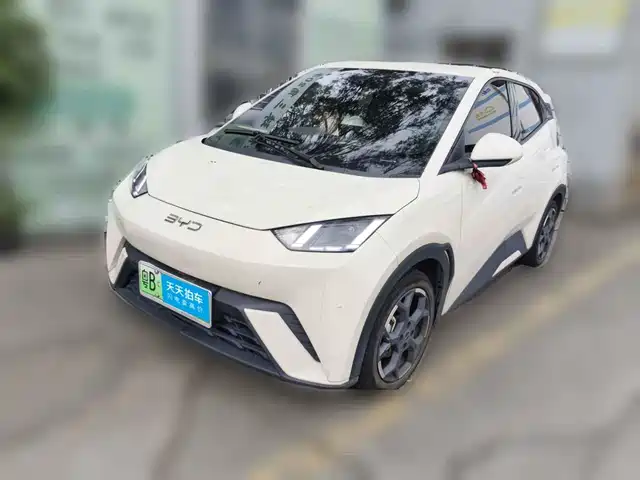 BYD Seagull 2024