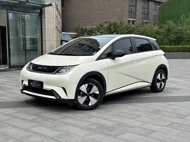 BYD Dolphin 420km, Стиль