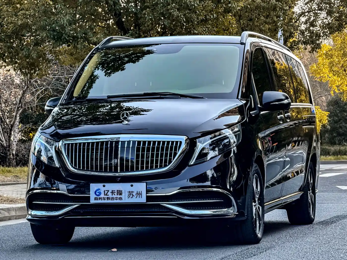 MERCEDES-BENZ V CLASS