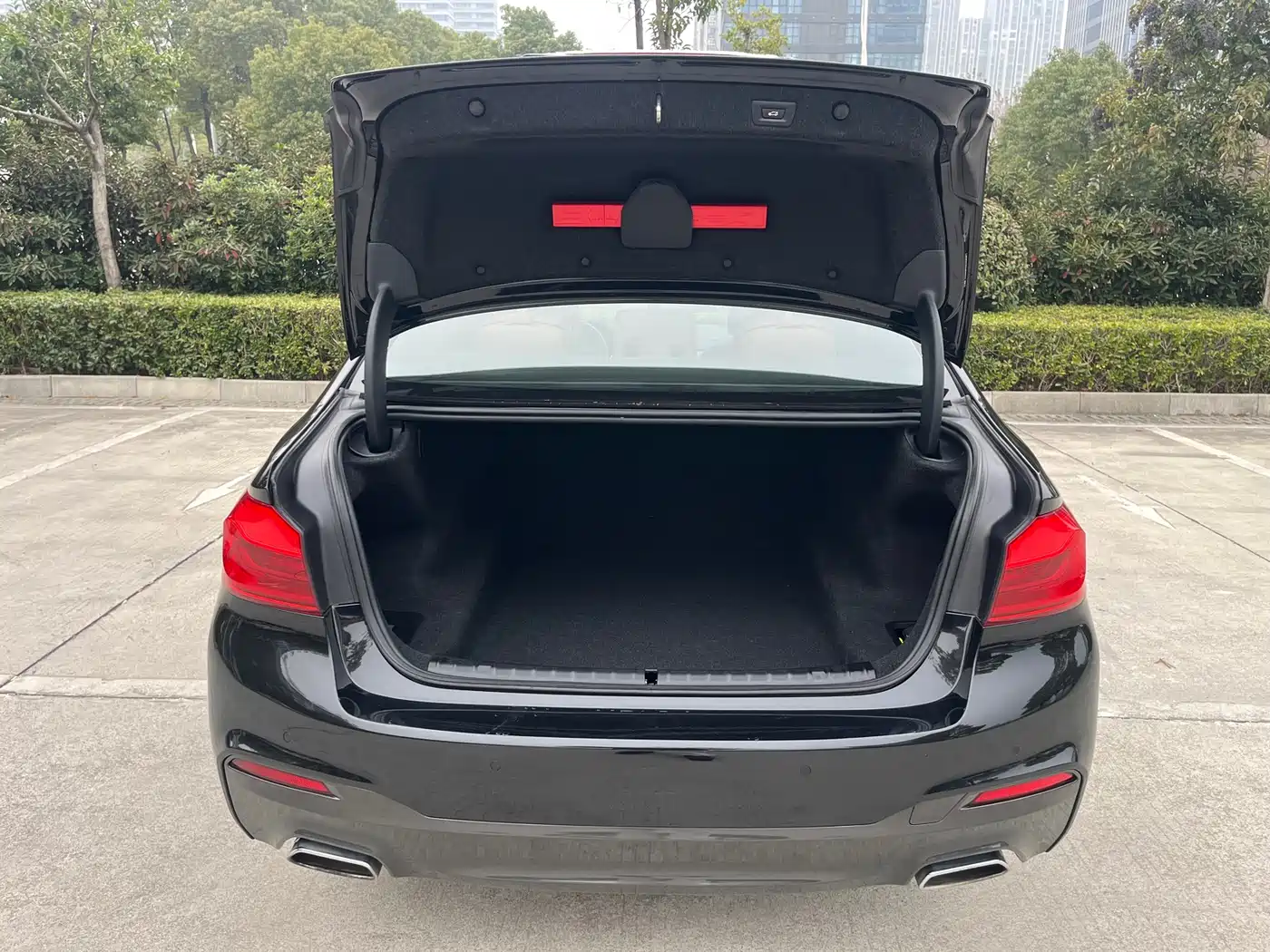 BMW 5 Series 2020 530Li Leading M Sport Package фото 22