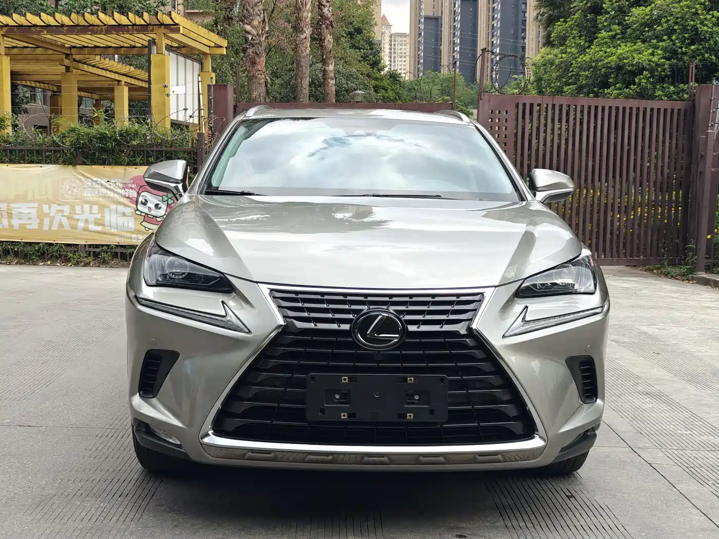 LEXUS NX