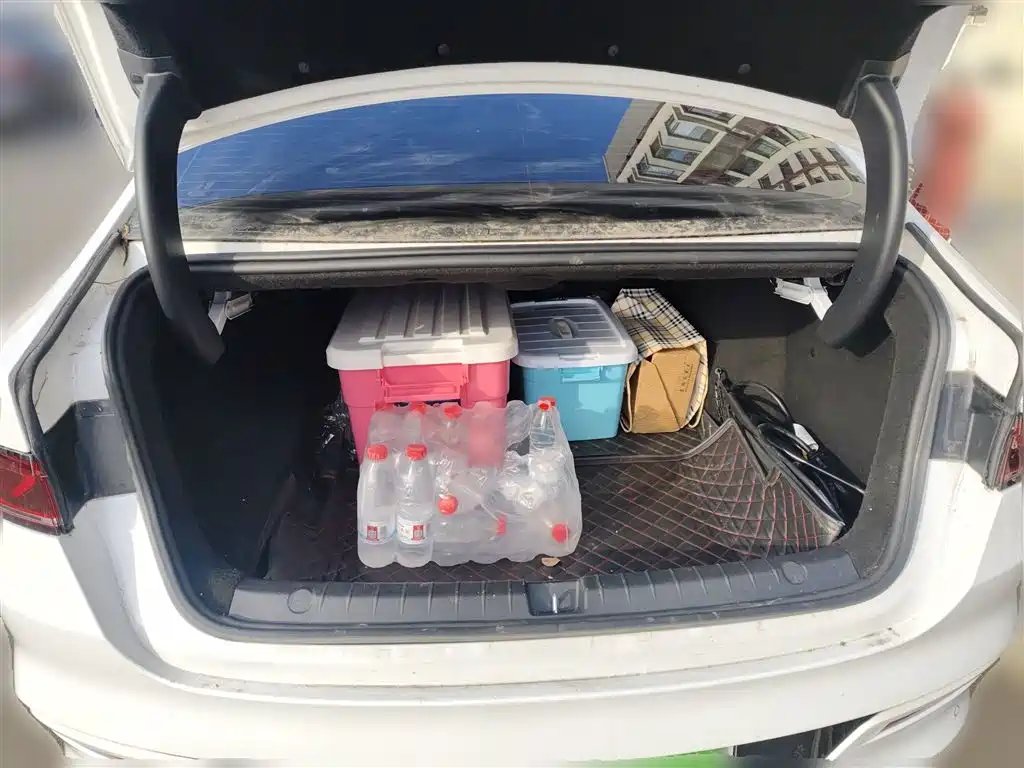 BYD Qin PLUS 2021 DM-i 55KM Flagship фото 10