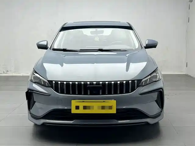 Фото 2 - Geely Binrui