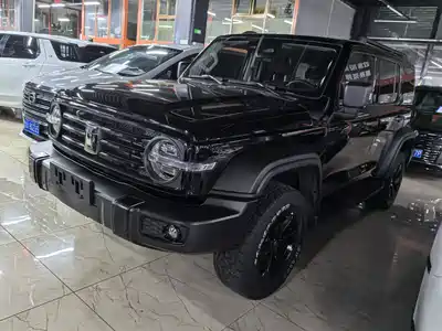 Tank 300