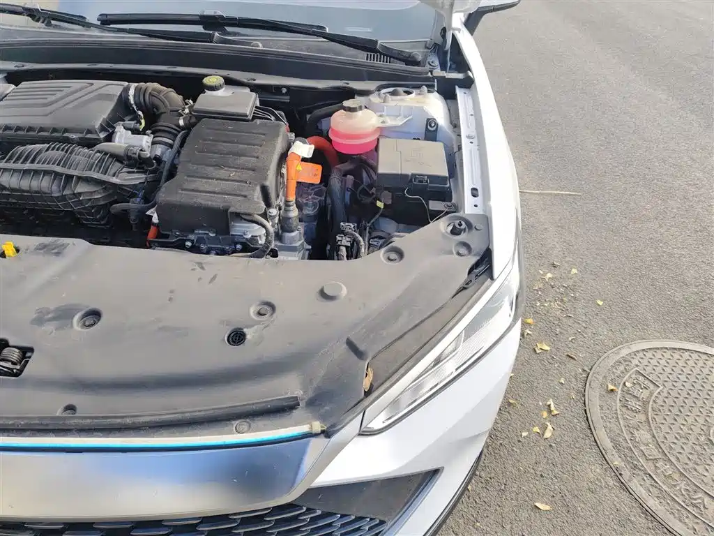 BYD Qin PLUS 2021 DM-i 55KM Flagship фото 22