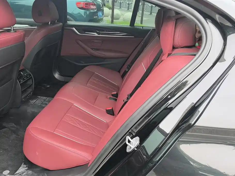 BMW 5 Series 2021 525Li Luxury Package фото 11