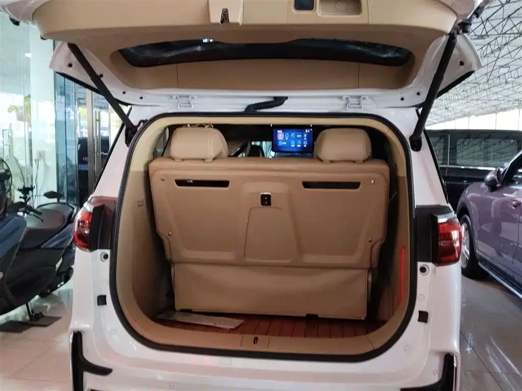 Buick GL8 2021 ES Landlord 653T Premium фото 15