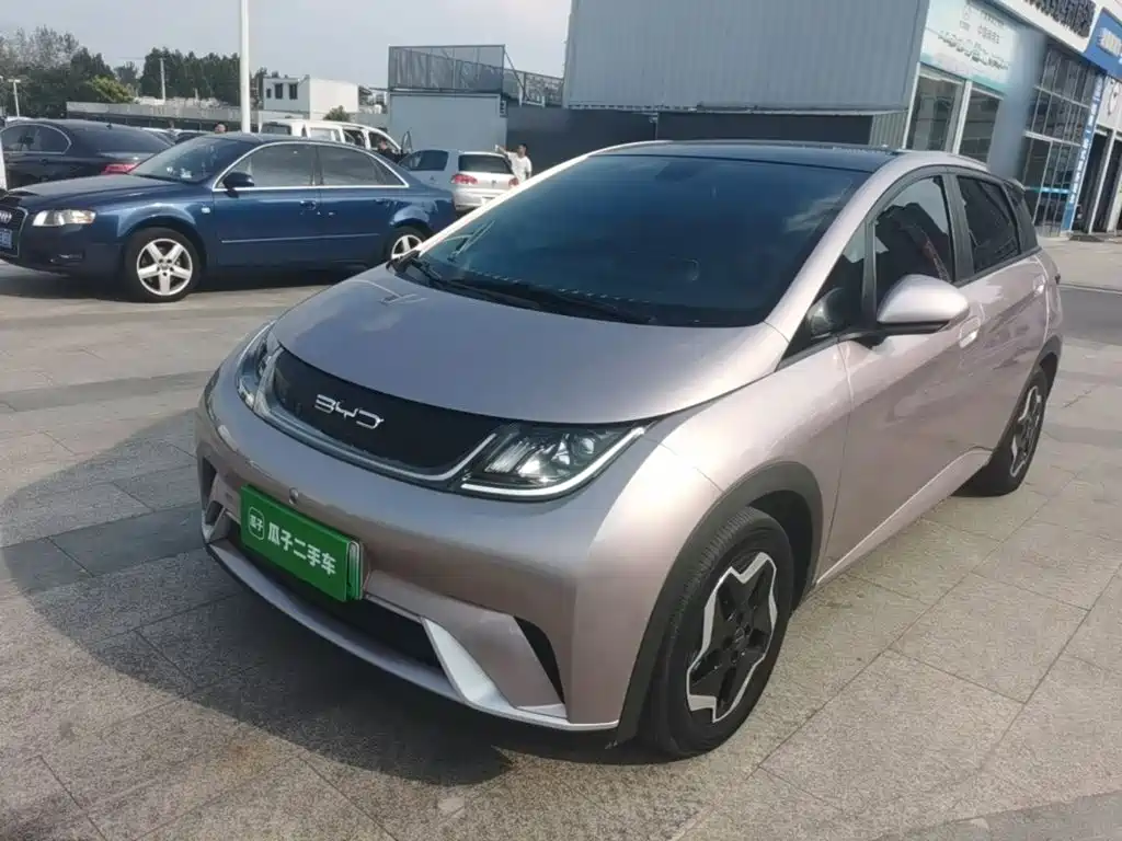 BYD Dolphin 2022 2021 Model 405km Fashion Edition