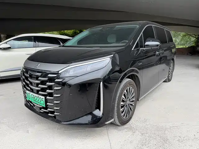 BYD Xia DM-i 1.5T 100km, Лидер