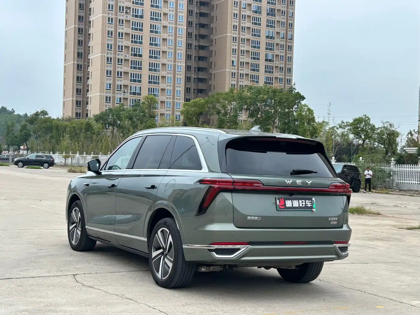 WEI PAI WEI BRAND BLUE MOUNTAIN