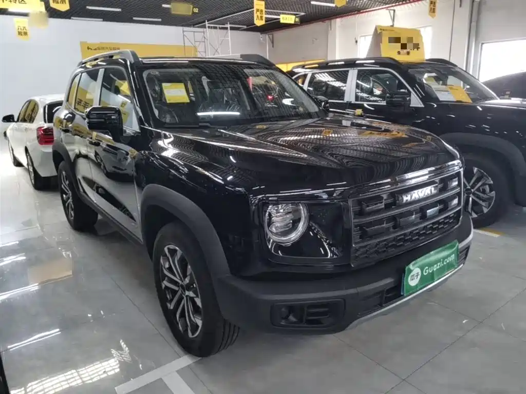Haval Big Dog 2026 Model 1.5T Basic Configuration фото 4