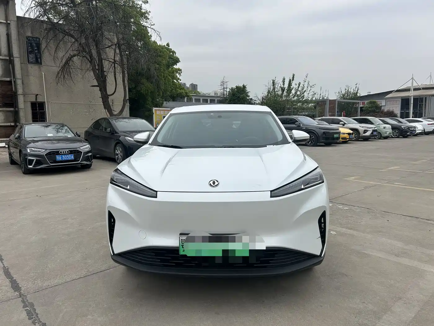 DONGFENG SKY EV01