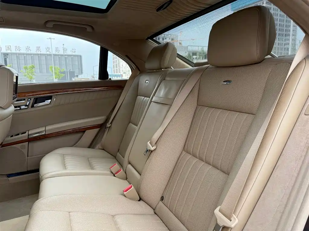 Mercedes-Benz S-Class 2010 S 600 L фото 29