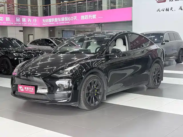 Tesla Model Y 2021 Model Long Range AWD — фото 1