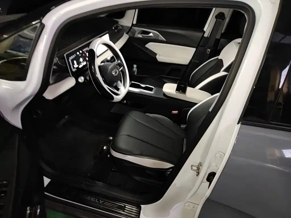 Geely Geometry E Firefly 2024 2024 Model 301km Starlight