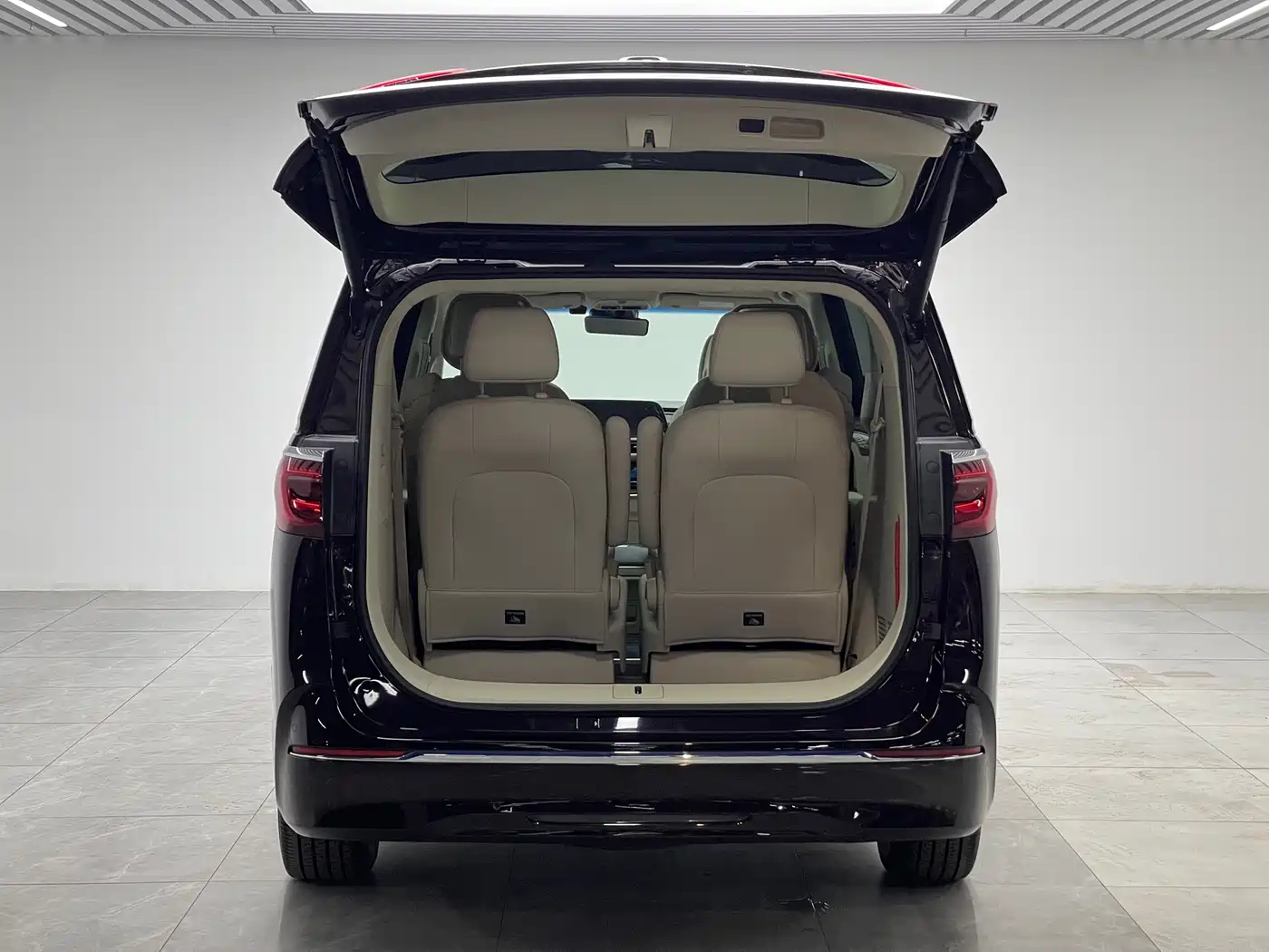 Buick GL8 2020 Avenir Six-Seat Elegance Edition фото 10