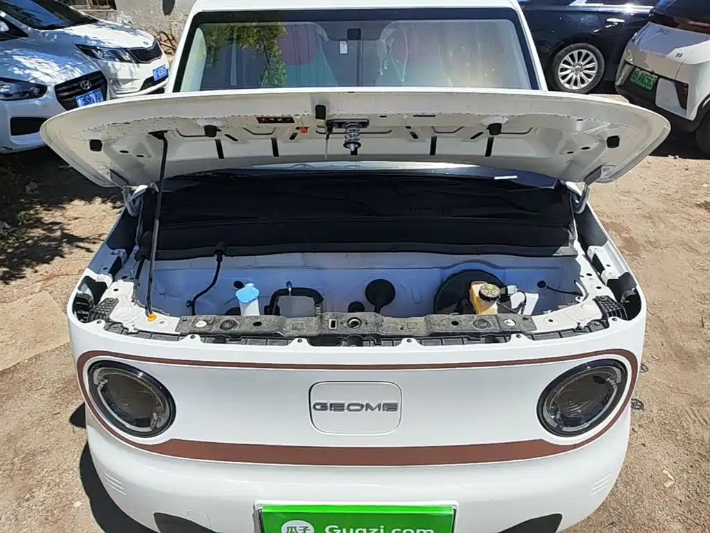 Geely Galaxy Panda 2025 Panda mini 210km Vitality Bear фото 20