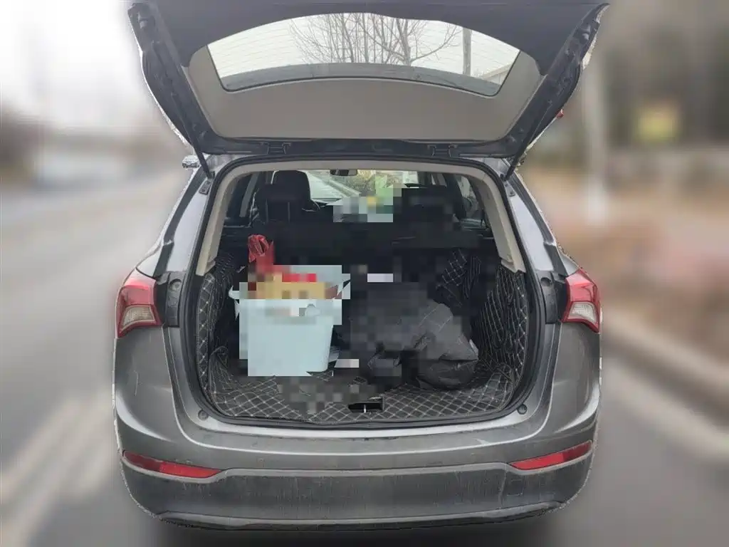 Buick Envision Plus 2018 20T 2WD Elite фото 10