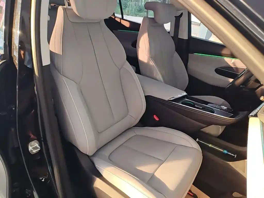 Buick E5 2024 2023 Premium Standard Range Edition