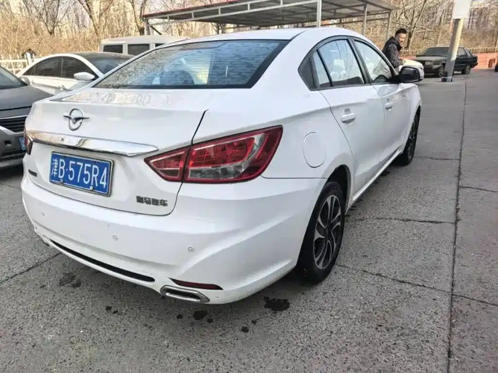 Фото 4 - Haima Familia