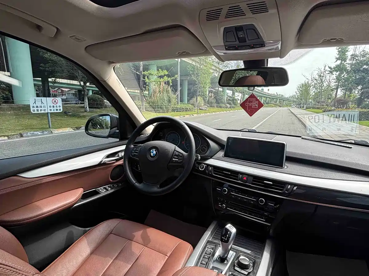 BMW X5 (Import) 2018 xDrive35i Elegant Model фото 10