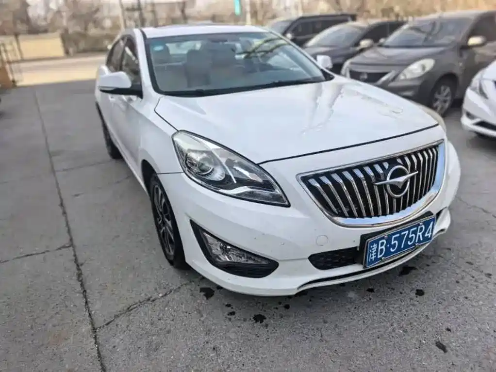 Фото 2 - Haima Familia