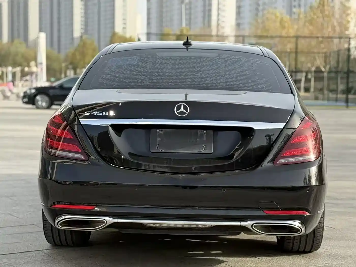 Mercedes-Benz S-Class 2018 S 350 L фото 15