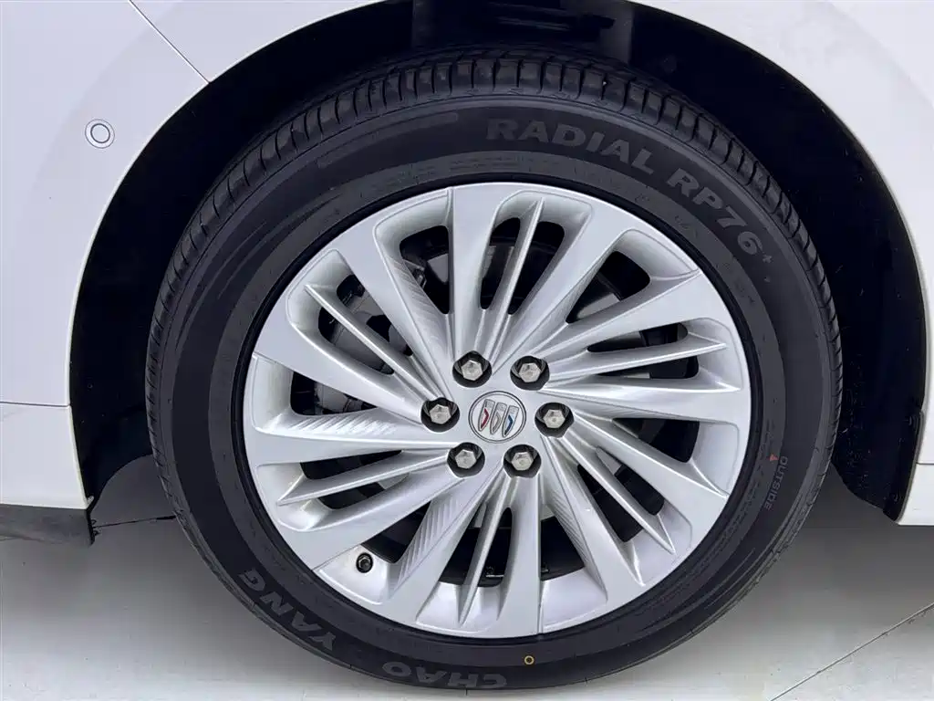 Buick Century 2023 2.0T 6-Seat World Edition фото 13